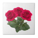 Suche nach romantische rose fliesen Blüte