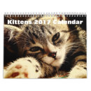 Suche nach verrückt kalender Katze