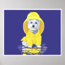 Suche nach regenmantel poster Tiere