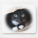 Suche nach katzen mousepads Kätzchen