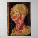 Suche nach anatomisches zeichnen poster Fabricius