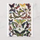 Suche nach insectes poster Darstellung