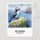 Suche nach puffin poster Malerei