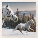 Suche nach appaloosa untersetzer Laufen