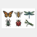 Suche nach käfer aufkleber Libelle