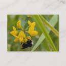 Suche nach hummel visitenkarten Naturfotografie