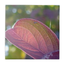 Suche nach bokeh fliesen Rot