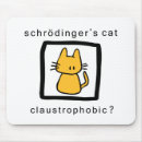 Suche nach schrodingers Witz