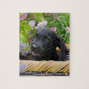Suche nach labrador retriever puzzle Niedlich