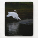 Suche nach weiße flügel mousepads Vogelvogel