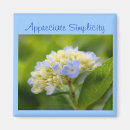 Suche nach hydrangea magnete Blume