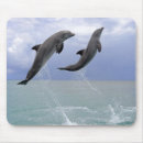Suche nach delfin mousepads Meer