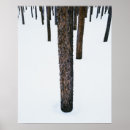 Suche nach baumstamm poster Wald