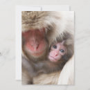 Suche nach tierfamilie karten Jungtier