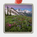 Suche nach nord ornamente Washington