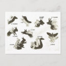 Suche nach puppet postkarten Vintag