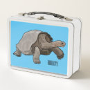 Suche nach schildkröten brotdosen Muschel