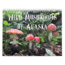Suche nach alaska kalender Natur