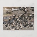 Suche nach wildnis postkarten Natur