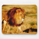 Suche nach männlicher löwe mousepads Katze