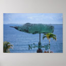 Suche nach humpback whale poster Buckelwale