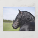 Suche nach mahn postkarten Natur