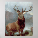 Suche nach landseer poster Hirsche