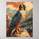 Suche nach merlin poster Raubvogel
