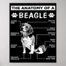 Suche nach hunde anatomie poster Hundebesitzer