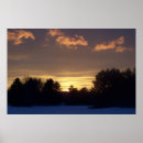 Suche nach winter wald poster Fotografie