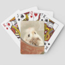 Suche nach lustige hamster spiele Haustier