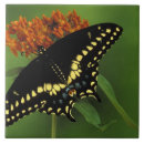 Suche nach schwester fliesen Blume