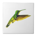 Suche nach kolibri fliesen Grün