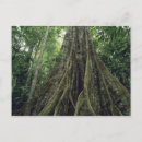 Suche nach corcovado poster Costa rica