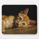 Suche nach niedliches kätzchen mousepads Haustier