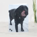 Suche nach tatzen karten Schnee