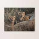 Suche nach große katzen puzzle Junge