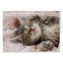 Suche nach augen geschlossen postkarten Keine leute