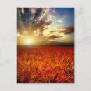 Suche nach weizenfeld Herbst