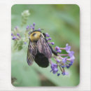 Suche nach biene mousepads Natur