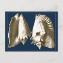 Suche nach ocean life poster Conch