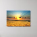 Suche nach weizenfeld leinwandbilder Sonnenuntergang