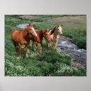 Suche nach trio poster Tiere