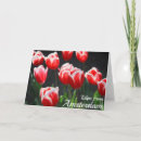 Suche nach amsterdam karten Tulpen