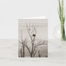 Suche nach gewartet karten Fotografie