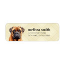 Suche nach bullmastiffs Niedlich