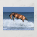 Suche nach francais postkarten Foto