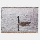 Suche nach gans decken Wasser