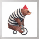 Suche nach funny bicycle poster Bike