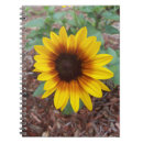 Suche nach annuus Helianthus annuus